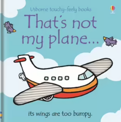 That's Not My Plane, Fiona Watt